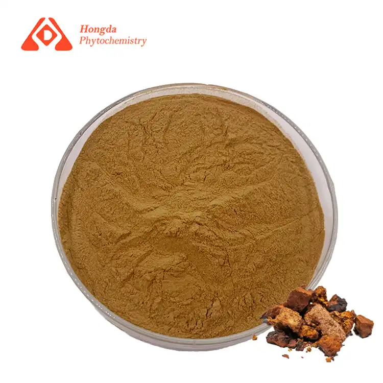 Wild Chaga Extract Powder